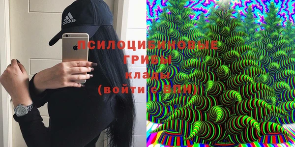 PSILOCYBIN Володарск