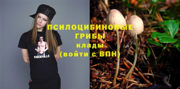 эйфоретик Волоколамск