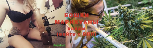 крисы Верея