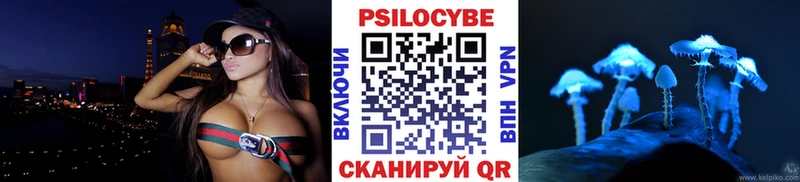 Псилоцибиновые грибы Cubensis  Новая Усмань 